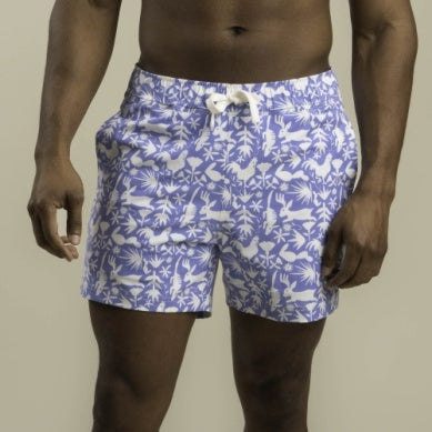 The Barton Boadshorts in Otomi Blue