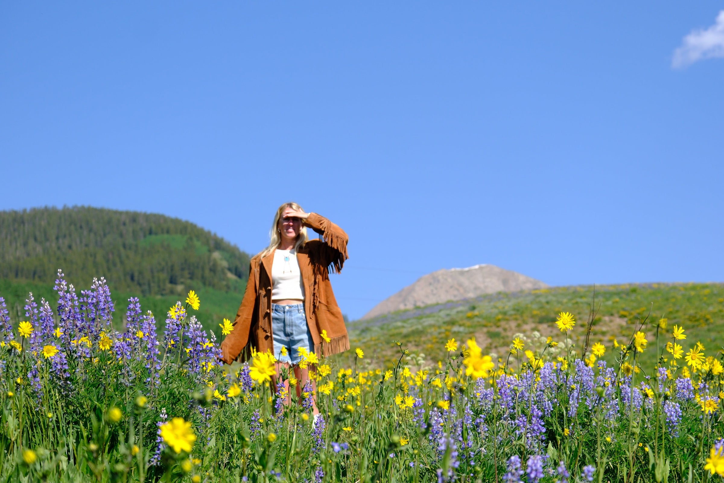 WESTERN AMERICANA