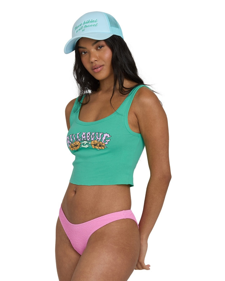 Hibiscus Minds Tank