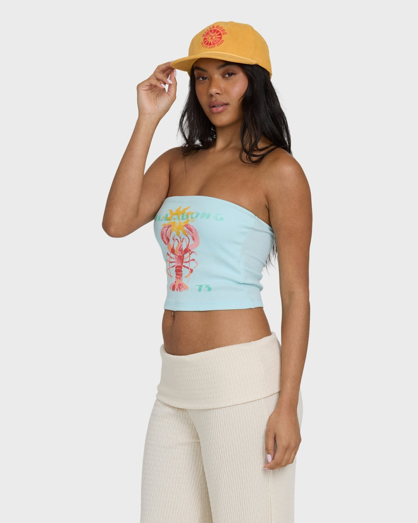 Cocoa Tube Top in Clearwater