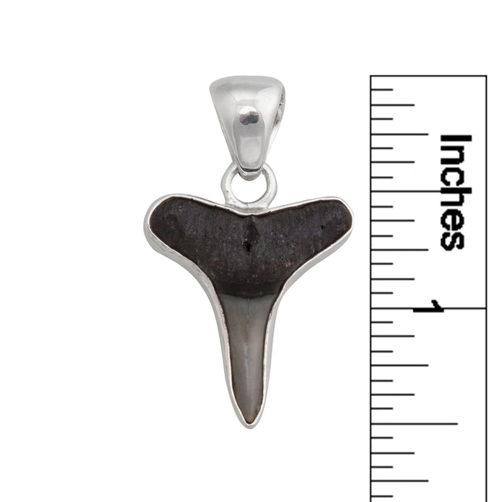 Sterling Silver Mini Shark Tooth Pendant