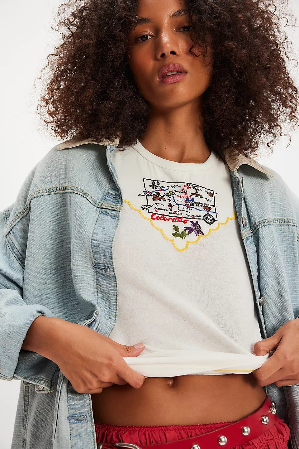 Wild Country Tee in Colorado Combo