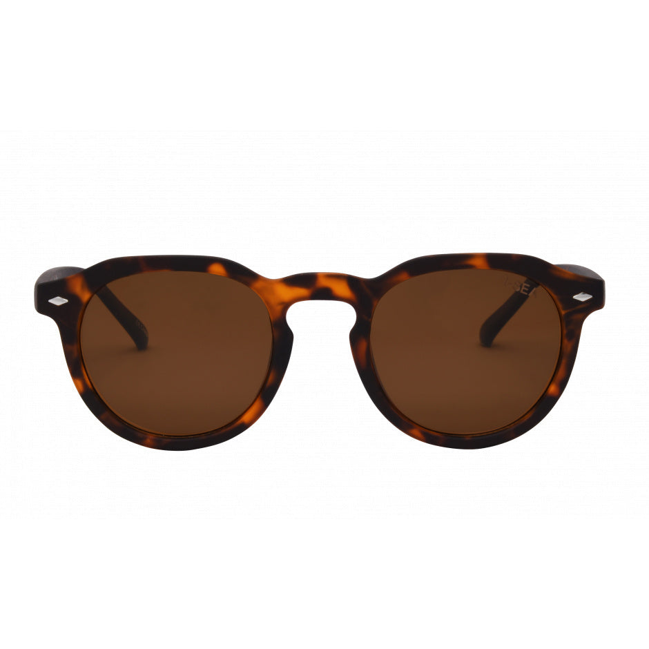 Blair in Tort/ Brown Polarized Lens