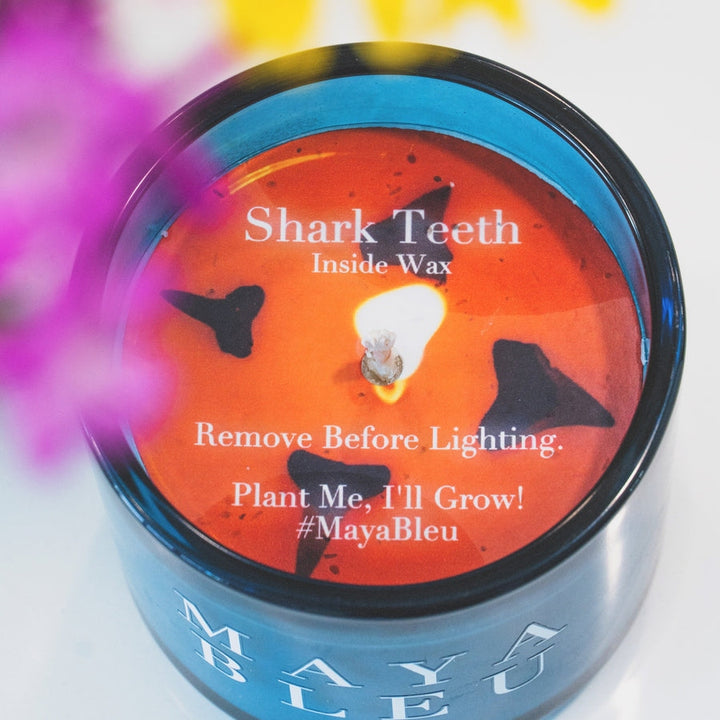 The Original Shark Tooth Candle in Bleu
