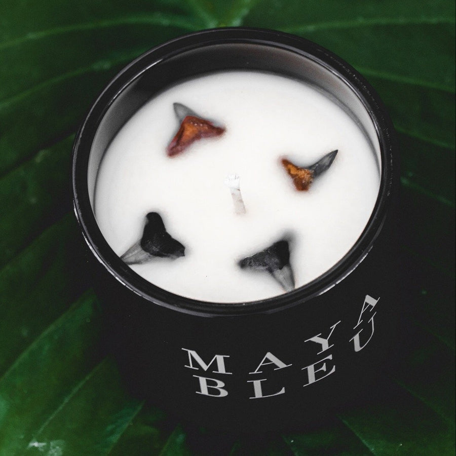 The Original Shark Tooth Candle in Black