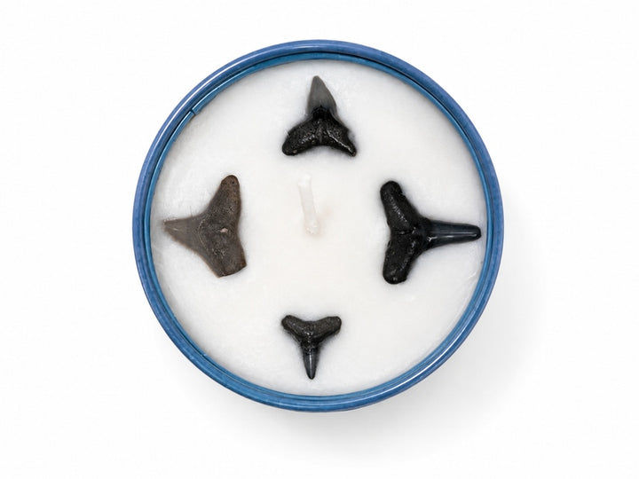 Party Wave 3.2oz Candle