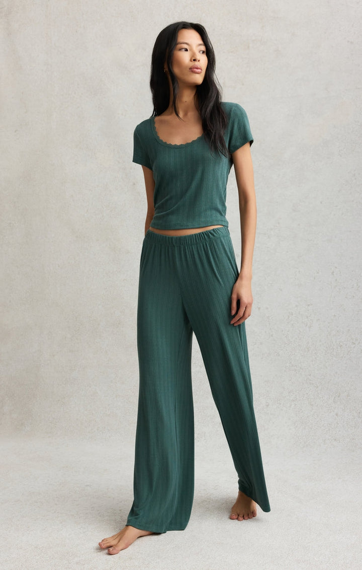 Countryside Pointelle Pants in Emerald Cove
