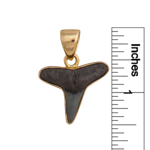Alchemia Mini Shark Tooth Pendant