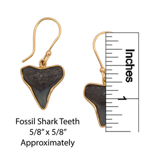 Alchemia Fossil Shark Teeth Drop Earrings