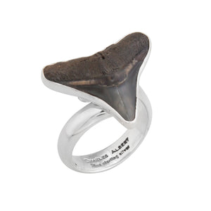 Sterling Silver Mini Shark Tooth Adjustable Ring