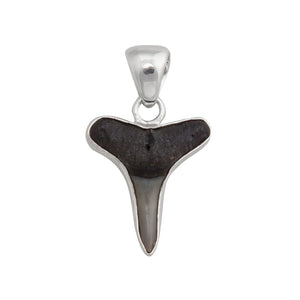 Sterling Silver Mini Shark Tooth Pendant