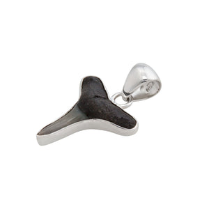 Sterling Silver Mini Shark Tooth Pendant